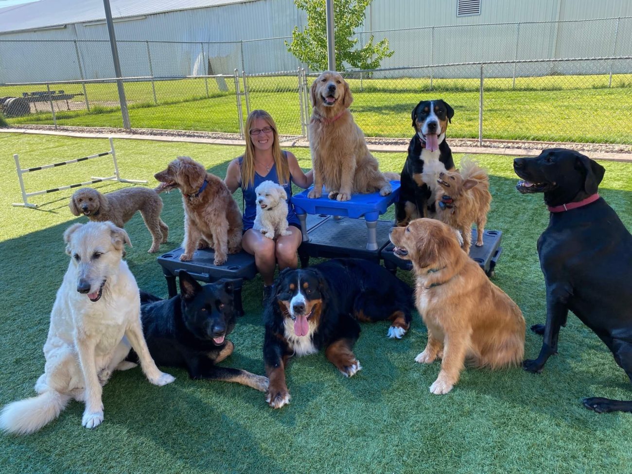 doggy day camp        
        <figure class=